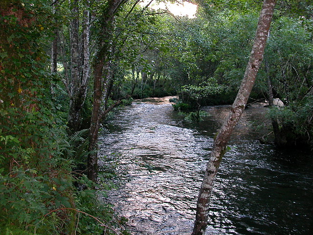 DSCN1179 DSCN1179