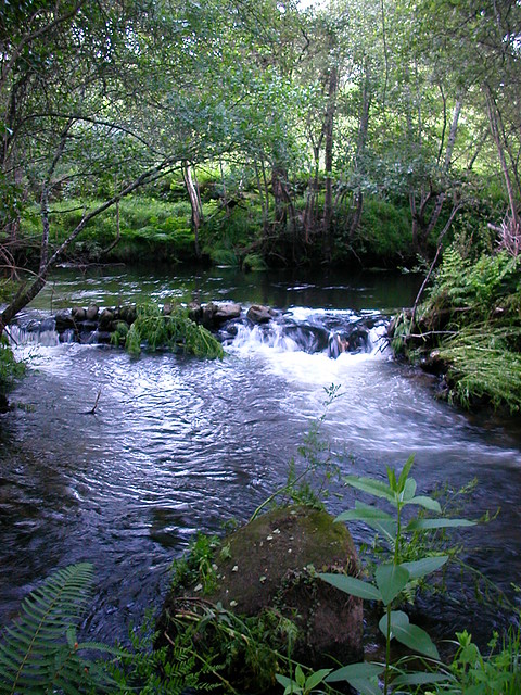 DSCN1188 DSCN1188