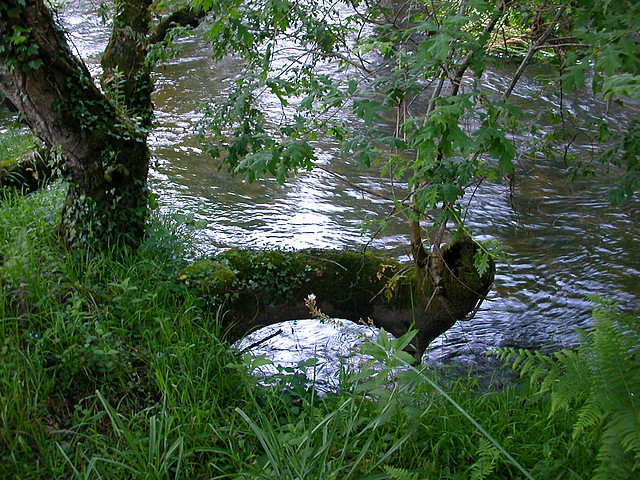 DSCN1190 DSCN1190