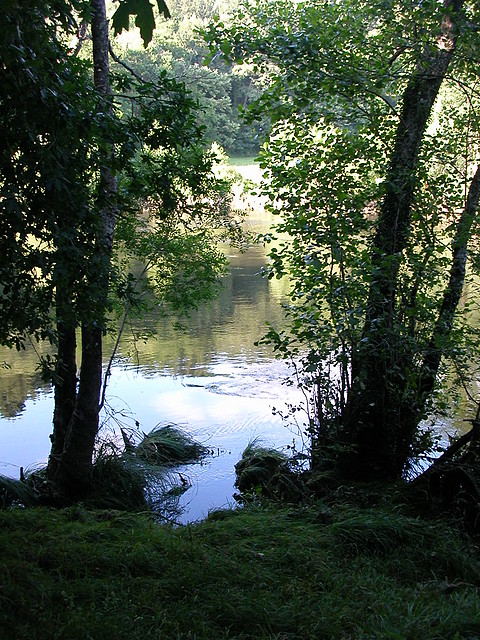 DSCN1162
