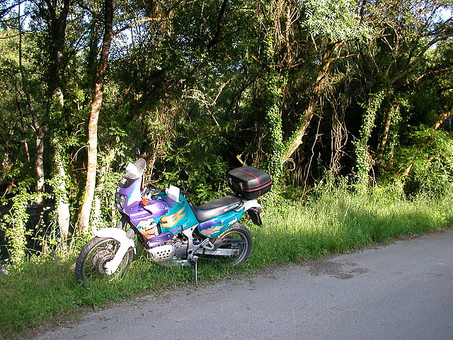 DSCN1155