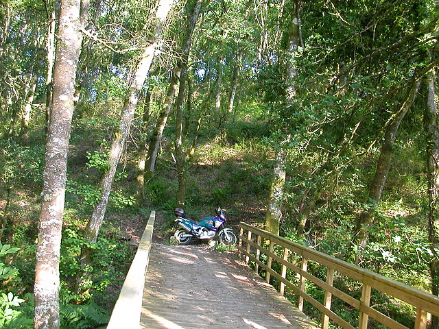 DSCN1165