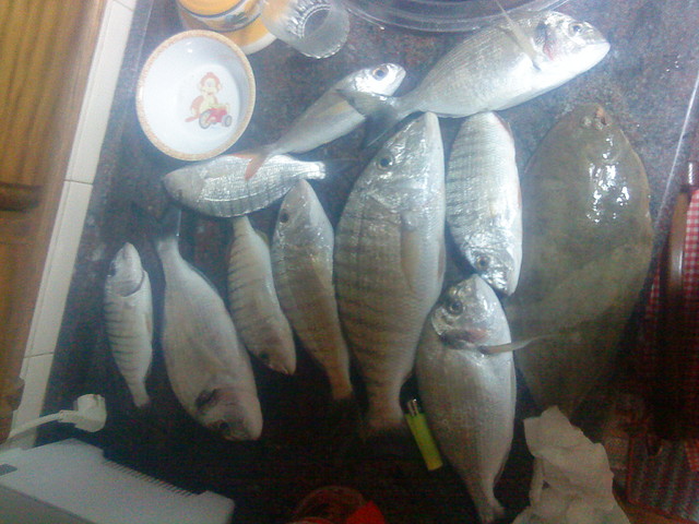 ranchito2 ranchito2