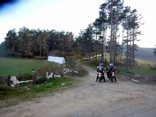 DSCN2933 DSCN2933