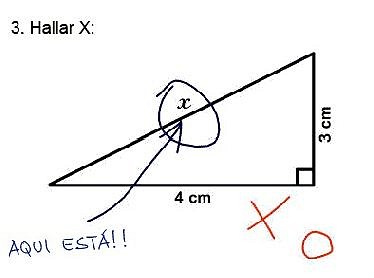 examen