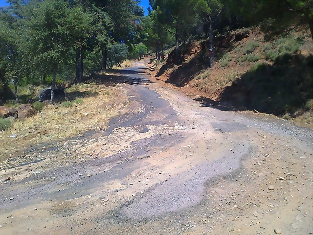 Foto0272 Foto0272