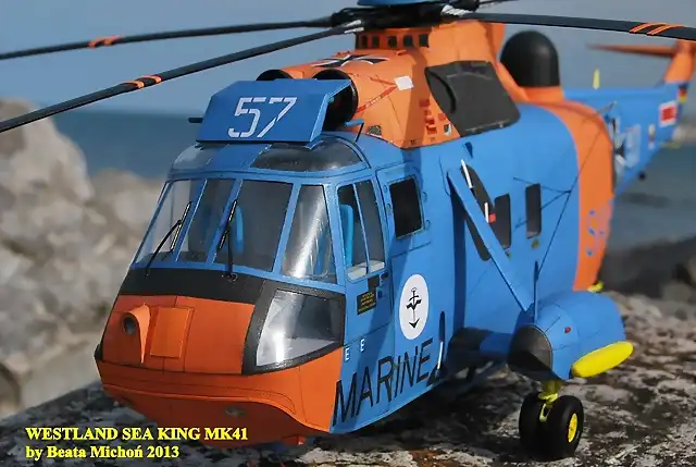 sea king 110