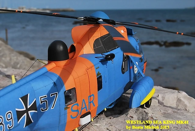 sea king 113