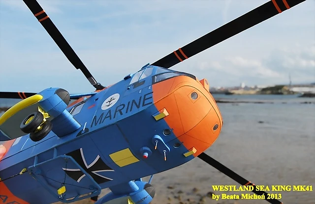 sea king 117-crop