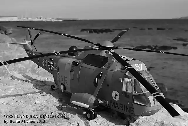 sea king 114