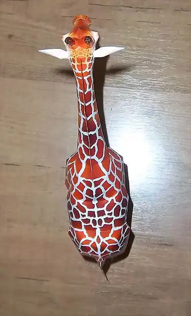 Girafa (22)