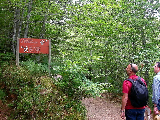 DSCN3824 DSCN3824