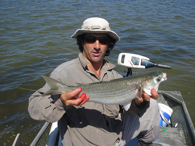 Pesca de lisas en Juan y Juan