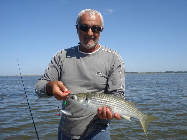 Pesca de lisas en Juan y Juan