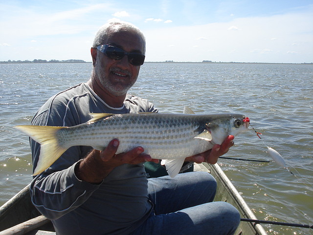 Pesca de lisas en Juan y Juan