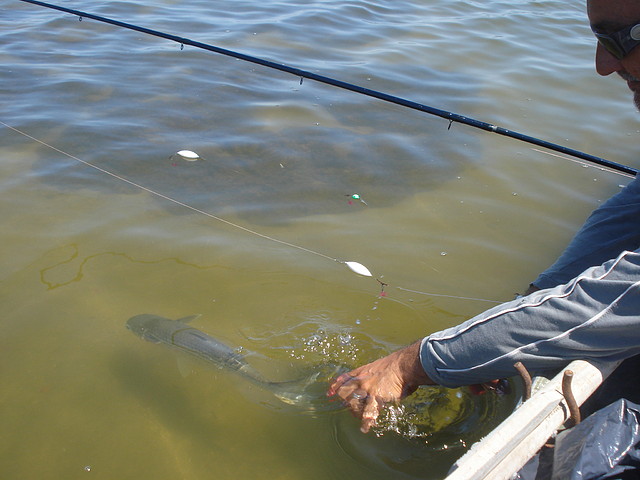 Pesca de lisas en Juan y Juan