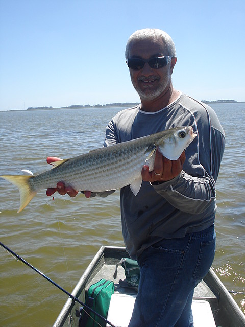 Pesca de lisas en Juan y Juan