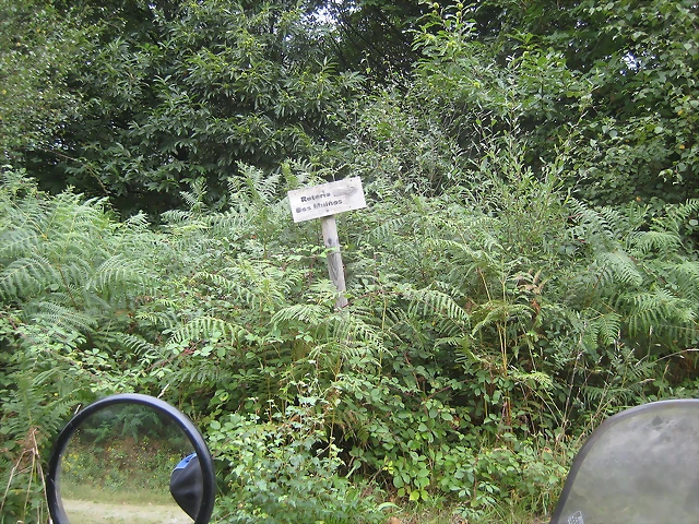 IMG_0240 IMG_0240