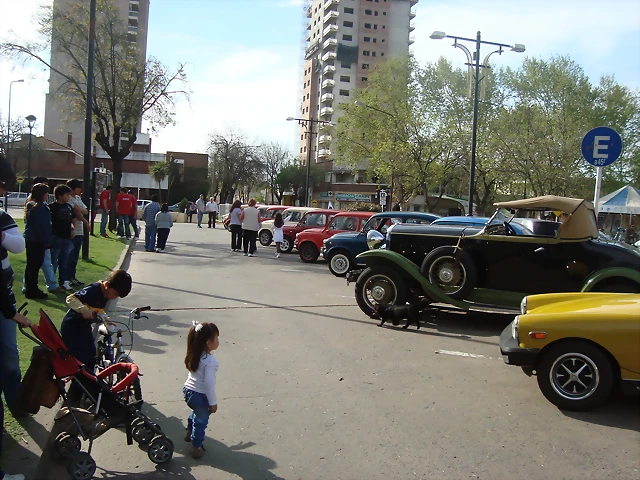 DSC02478 DSC02478