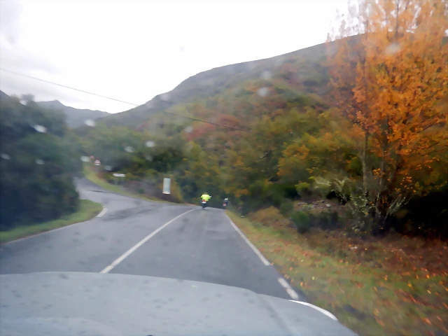 DSCN1195 DSCN1195