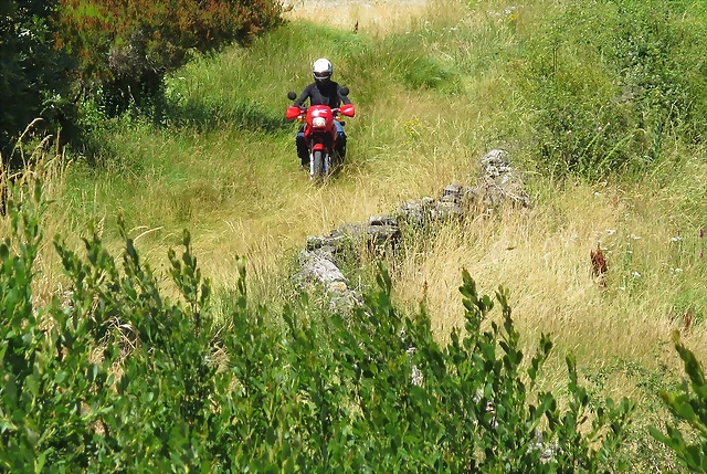 IMG_7744 IMG_7744