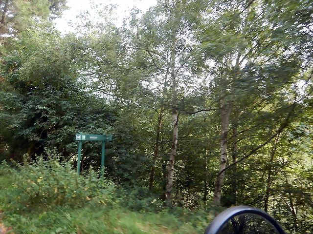 DSCN4419 DSCN4419