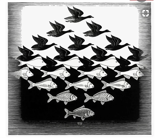 escher escher