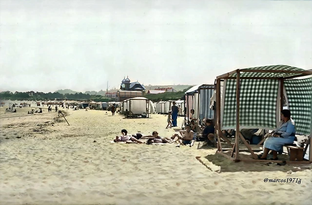 salinas 1