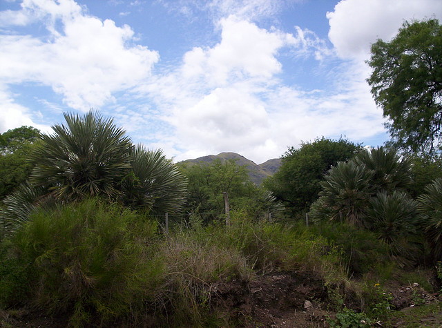 Base del Cerro Enero 2011 012