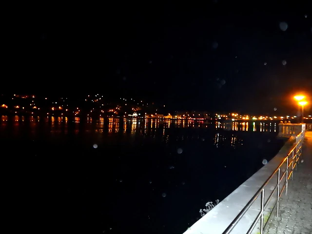 DSCN2980 DSCN2980