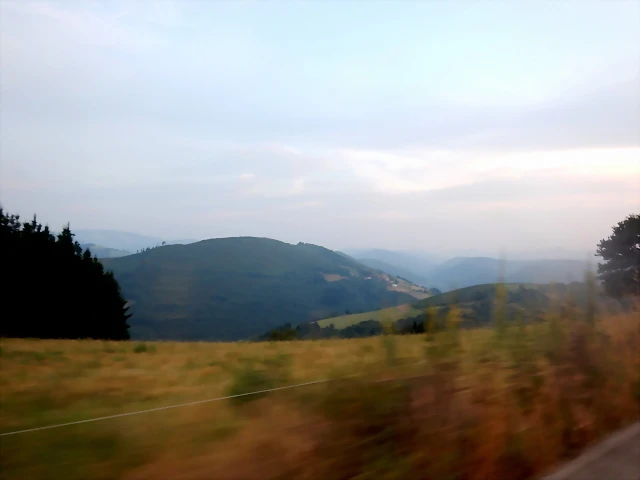 DSCN8799 DSCN8799