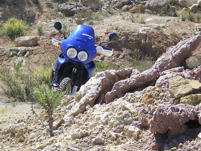 IMGP5883 IMGP5883