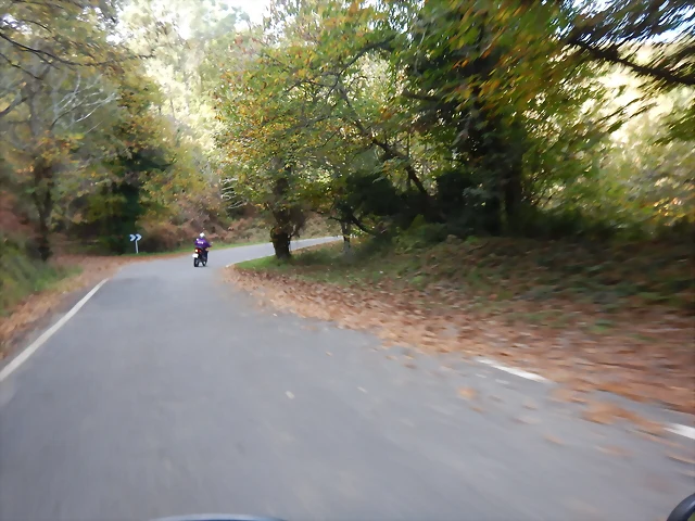 DSCN4736 DSCN4736