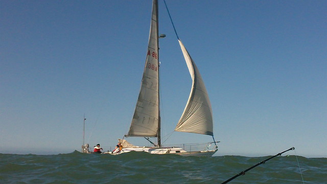 101_0045 101_0045