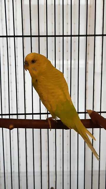20180829_201505 20180829_201505