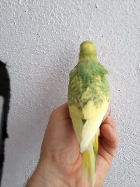 20190720_111838