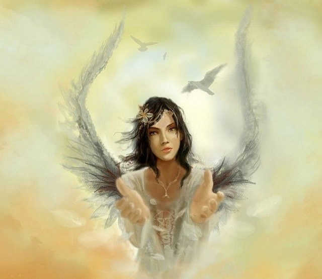angel de amor2