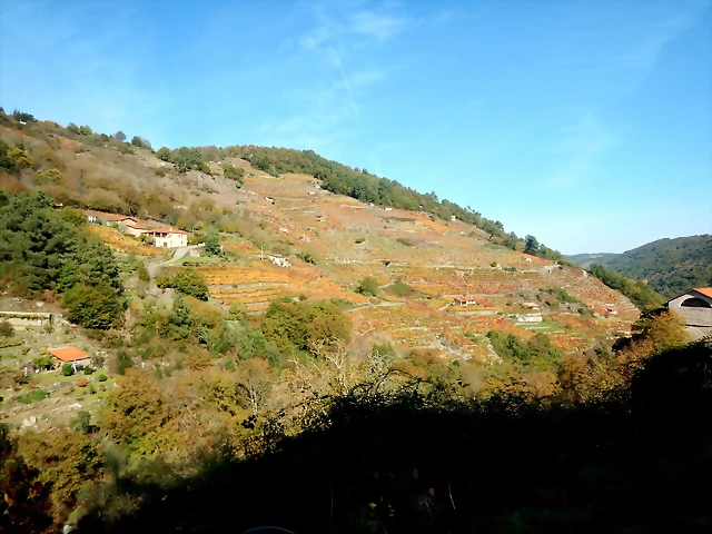 DSCN1538 DSCN1538