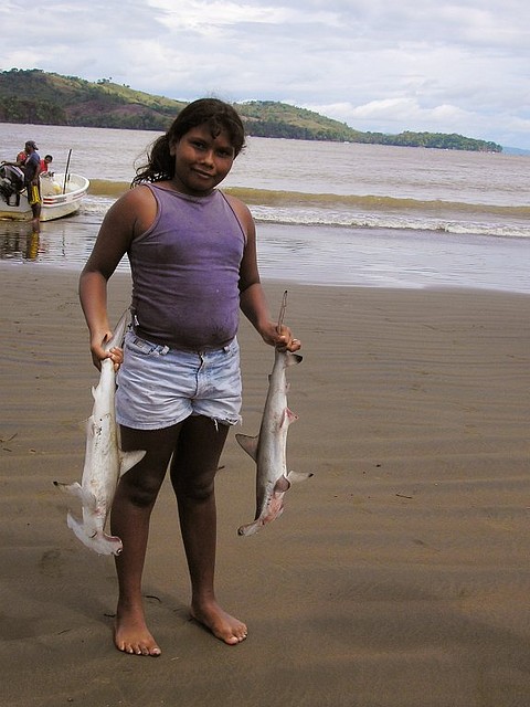 arrimadero_pelaita_tiburones