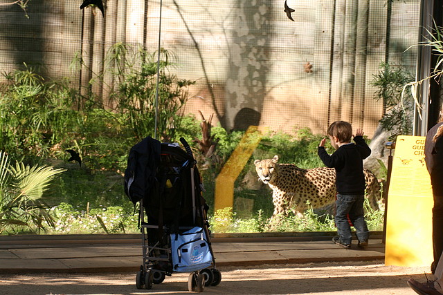 Zoo de Barcelona 07-04-11 646 Zoo de Barcelona 07-04-11 646