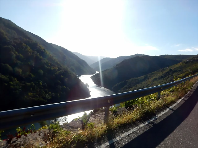 DSCN1503 DSCN1503