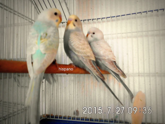 CIMG1408 CIMG1408