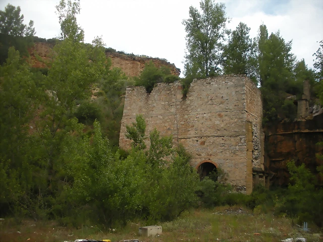 DSCN6157 DSCN6157