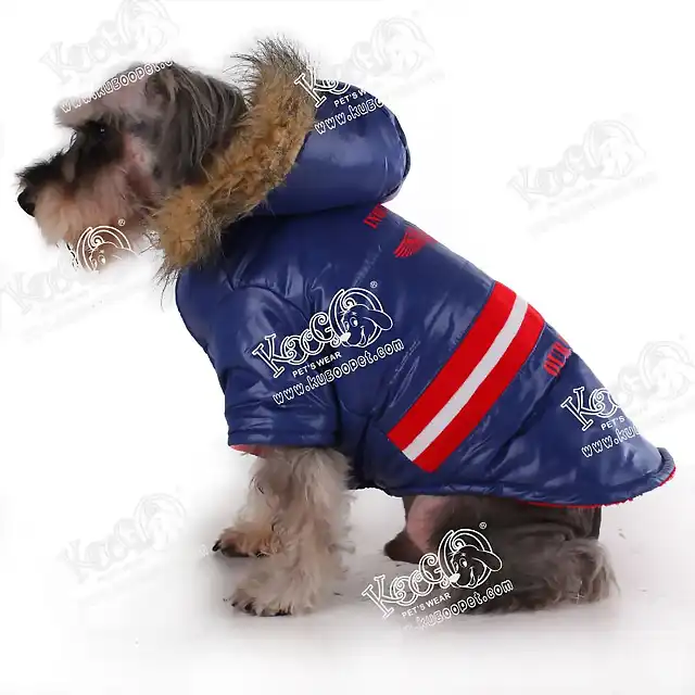 Royal_air_force_jacket_for_pets_dog