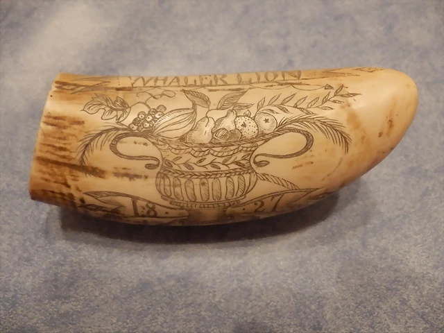 waterman taquigrafo y pipa 022