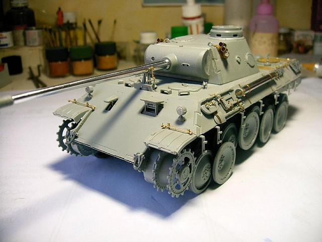 Panther D_B (13)