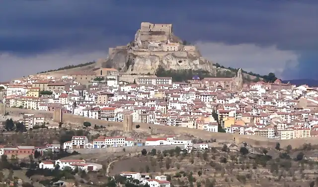 Morella