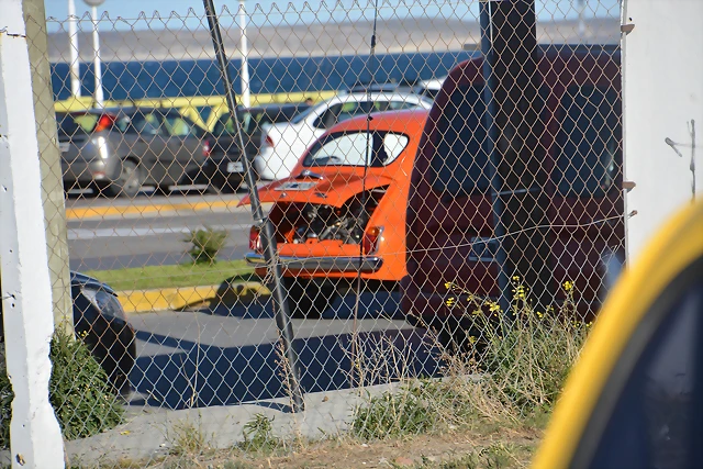 DSC_0237 DSC_0237