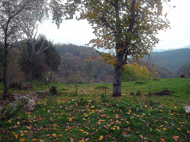 DSCN4582 DSCN4582