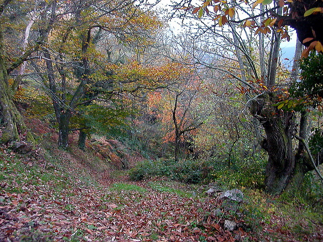 DSCN4588 DSCN4588
